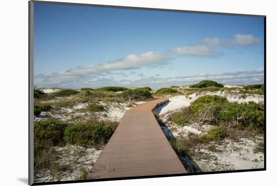 Sand Dunes Boardwalk-forestpath-Mounted Photographic Print