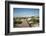 Sand Dunes Boardwalk-forestpath-Framed Photographic Print