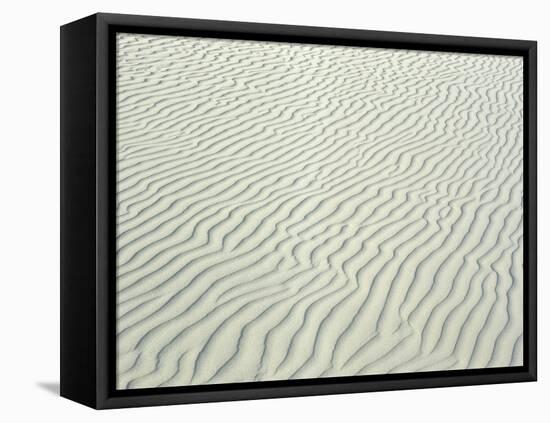 Sand Dunes, Close-Up, Germany, Lower Saxony, the North Sea, East Frisian Islands, Borkum-Andreas Keil-Framed Premier Image Canvas