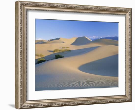 Sand Dunes, Death Valley National Monument, California, USA-Roy Rainford-Framed Photographic Print