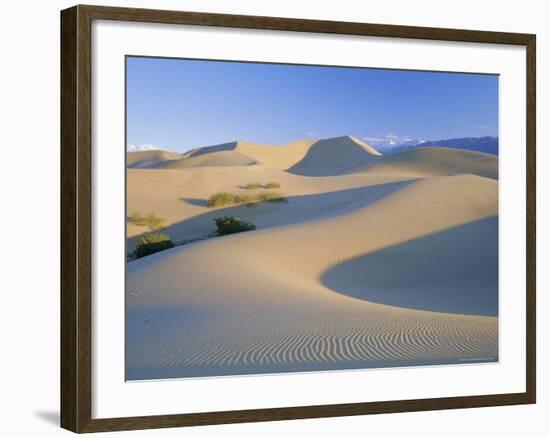 Sand Dunes, Death Valley National Monument, California, USA-Roy Rainford-Framed Photographic Print