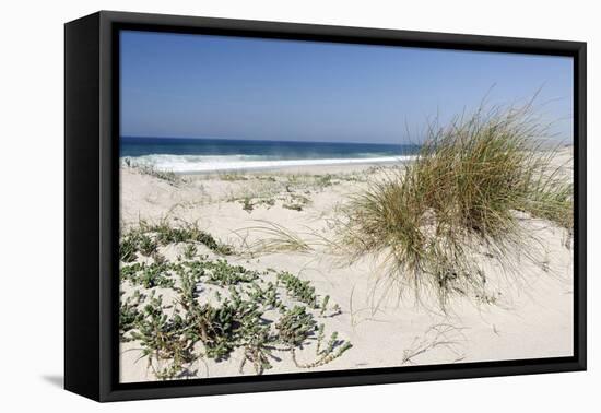 Sand Dunes, Dune Vegetation, Portuguese Atlantic Coast, Praia D'El Rey, Province Obidos, Portugal-Axel Schmies-Framed Premier Image Canvas