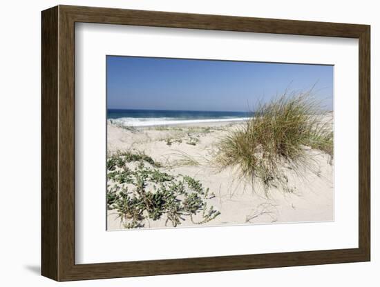 Sand Dunes, Dune Vegetation, Portuguese Atlantic Coast, Praia D'El Rey, Province Obidos, Portugal-Axel Schmies-Framed Photographic Print