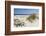 Sand Dunes, Dune Vegetation, Portuguese Atlantic Coast, Praia D'El Rey, Province Obidos, Portugal-Axel Schmies-Framed Photographic Print