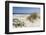 Sand Dunes, Dune Vegetation, Portuguese Atlantic Coast, Praia D'El Rey, Province Obidos, Portugal-Axel Schmies-Framed Photographic Print