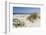 Sand Dunes, Dune Vegetation, Portuguese Atlantic Coast, Praia D'El Rey, Province Obidos, Portugal-Axel Schmies-Framed Photographic Print