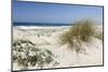 Sand Dunes, Dune Vegetation, Portuguese Atlantic Coast, Praia D'El Rey, Province Obidos, Portugal-Axel Schmies-Mounted Photographic Print