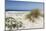 Sand Dunes, Dune Vegetation, Portuguese Atlantic Coast, Praia D'El Rey, Province Obidos, Portugal-Axel Schmies-Mounted Photographic Print