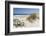 Sand Dunes, Dune Vegetation, Portuguese Atlantic Coast, Praia D'El Rey, Province Obidos, Portugal-Axel Schmies-Framed Photographic Print