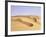 Sand Dunes, Erg Murzuq, Fezzan, Sahara Desert, Libya, North Africa, Africa-Sergio Pitamitz-Framed Photographic Print