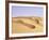 Sand Dunes, Erg Murzuq, Fezzan, Sahara Desert, Libya, North Africa, Africa-Sergio Pitamitz-Framed Photographic Print