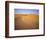 Sand Dunes, Grand Erg Occidental, Sahara Desert, Algeria, Africa-Geoff Renner-Framed Photographic Print