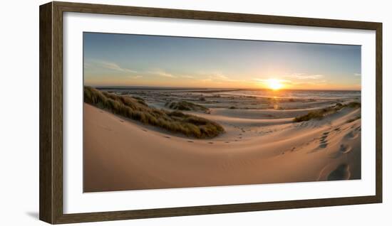 Sand dunes, grass, and driftwood at sunset on the Oregon coast, Oregon, United States of America, N-Tyler Lillico-Framed Photographic Print