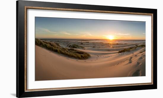 Sand dunes, grass, and driftwood at sunset on the Oregon coast, Oregon, United States of America, N-Tyler Lillico-Framed Photographic Print