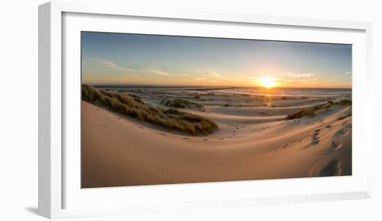 Sand dunes, grass, and driftwood at sunset on the Oregon coast, Oregon, United States of America, N-Tyler Lillico-Framed Photographic Print