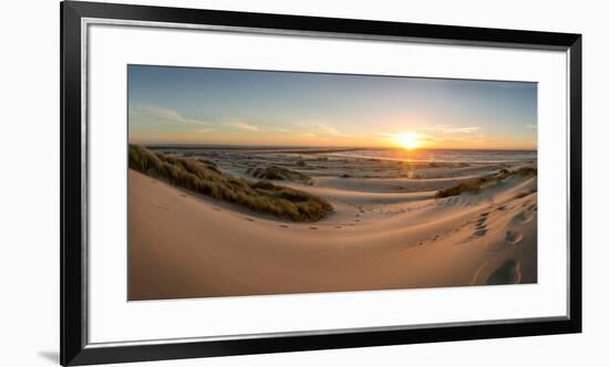 Sand dunes, grass, and driftwood at sunset on the Oregon coast, Oregon, United States of America, N-Tyler Lillico-Framed Premium Photographic Print