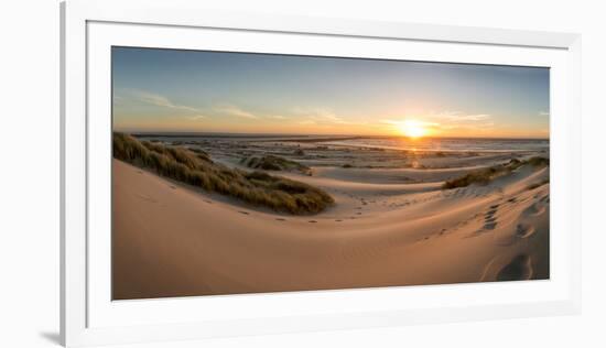 Sand dunes, grass, and driftwood at sunset on the Oregon coast, Oregon, United States of America, N-Tyler Lillico-Framed Premium Photographic Print