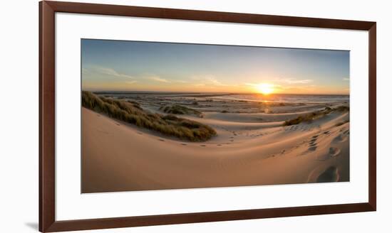 Sand dunes, grass, and driftwood at sunset on the Oregon coast, Oregon, United States of America, N-Tyler Lillico-Framed Premium Photographic Print