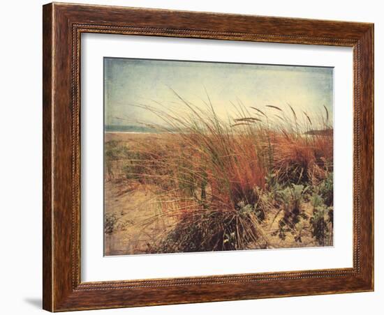 Sand Dunes II-Amy Melious-Framed Art Print