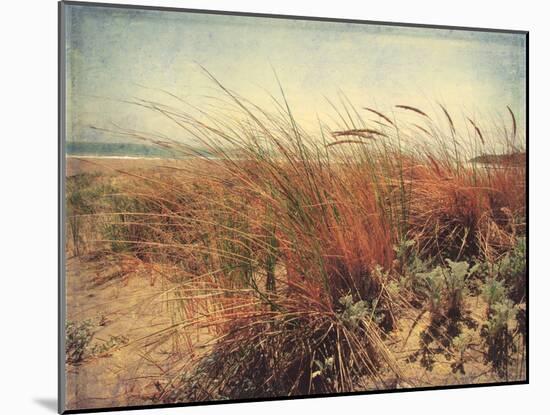 Sand Dunes II-Amy Melious-Mounted Art Print