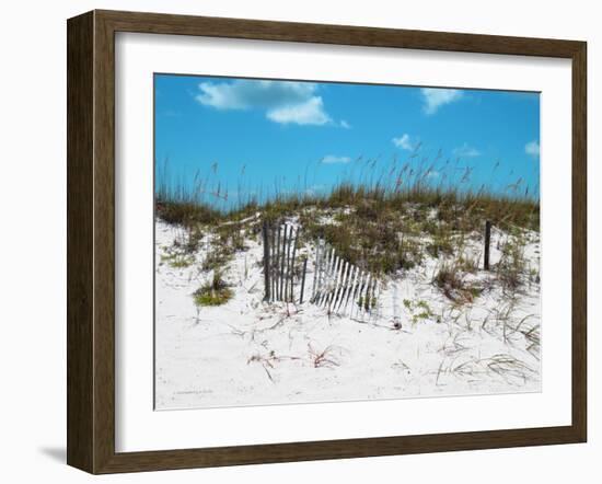 Sand Dunes II-Todd Williams-Framed Art Print