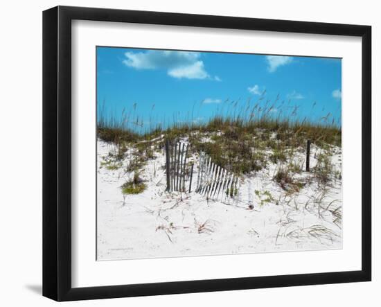 Sand Dunes II-Todd Williams-Framed Art Print