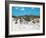 Sand Dunes II-Todd Williams-Framed Art Print