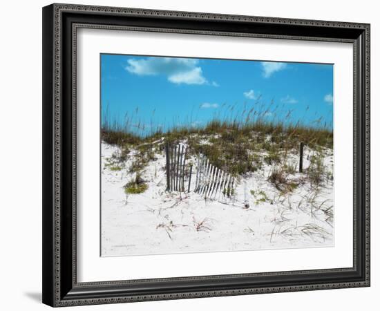 Sand Dunes II-Todd Williams-Framed Art Print