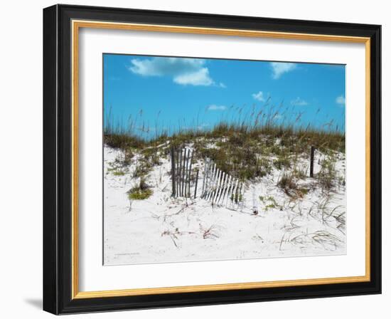 Sand Dunes II-Todd Williams-Framed Art Print