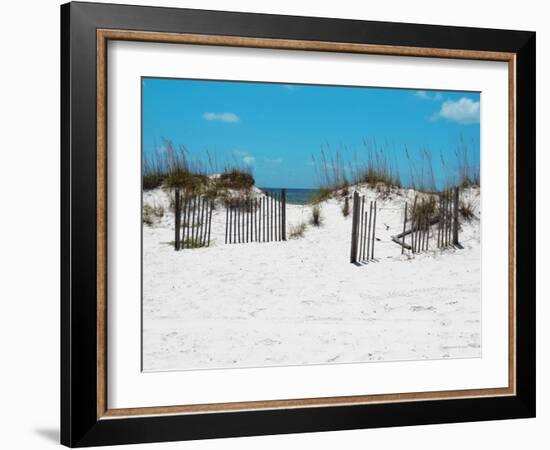 Sand Dunes III-Todd Williams-Framed Art Print