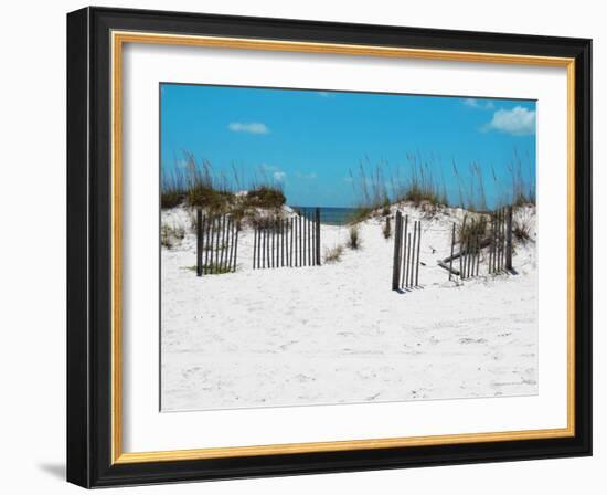 Sand Dunes III-Todd Williams-Framed Art Print