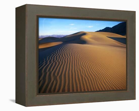 Sand Dunes in Death Valley-Bill Ross-Framed Premier Image Canvas