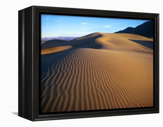 Sand Dunes in Death Valley-Bill Ross-Framed Premier Image Canvas