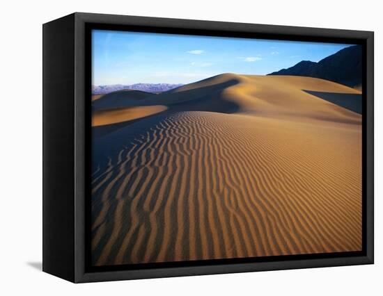 Sand Dunes in Death Valley-Bill Ross-Framed Premier Image Canvas