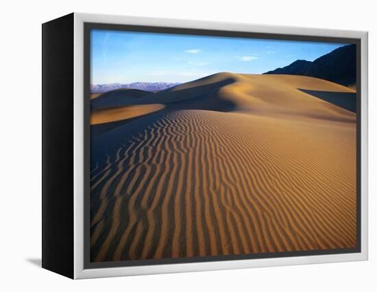 Sand Dunes in Death Valley-Bill Ross-Framed Premier Image Canvas