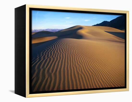 Sand Dunes in Death Valley-Bill Ross-Framed Premier Image Canvas