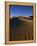 Sand Dunes in Death Valley-Bill Ross-Framed Premier Image Canvas