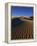 Sand Dunes in Death Valley-Bill Ross-Framed Premier Image Canvas