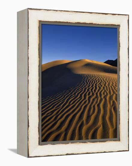 Sand Dunes in Death Valley-Bill Ross-Framed Premier Image Canvas