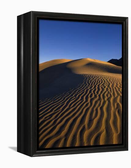 Sand Dunes in Death Valley-Bill Ross-Framed Premier Image Canvas