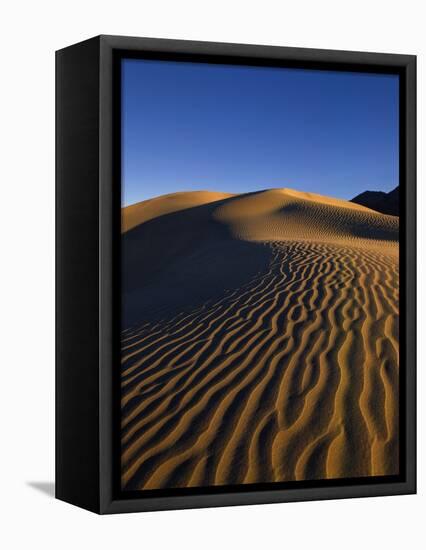 Sand Dunes in Death Valley-Bill Ross-Framed Premier Image Canvas