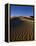 Sand Dunes in Death Valley-Bill Ross-Framed Premier Image Canvas