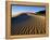 Sand Dunes in Death Valley-Bill Ross-Framed Premier Image Canvas