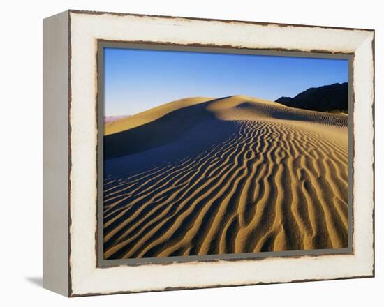 Sand Dunes in Death Valley-Bill Ross-Framed Premier Image Canvas