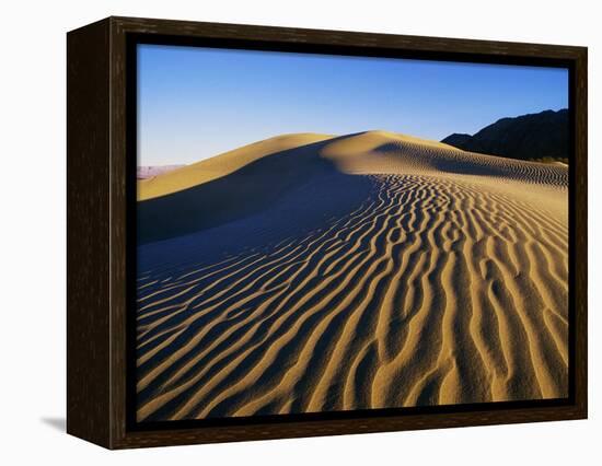 Sand Dunes in Death Valley-Bill Ross-Framed Premier Image Canvas