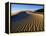 Sand Dunes in Death Valley-Bill Ross-Framed Premier Image Canvas