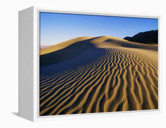 Sand Dunes in Death Valley-Bill Ross-Framed Premier Image Canvas