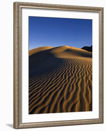 Sand Dunes in Death Valley-Bill Ross-Framed Photographic Print