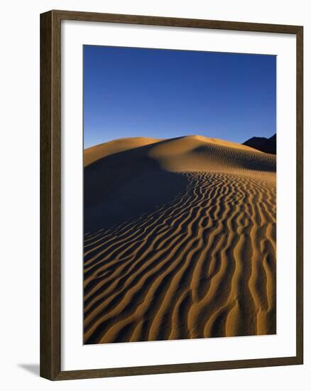 Sand Dunes in Death Valley-Bill Ross-Framed Photographic Print