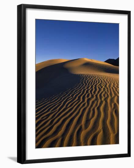 Sand Dunes in Death Valley-Bill Ross-Framed Photographic Print